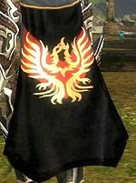 Guild The Elite Phoenixes cape.jpg