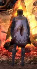 Guild The Persistant Fools cape.png