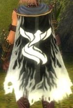 Guild The Shadowheart Vanguard cape.jpg