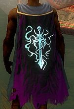 Guild Alliance Of Carantania cape.jpg