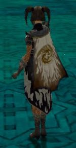 Guild The Crazy Dragons cape.jpg