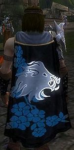 Guild Order Of The White Boar cape.jpg