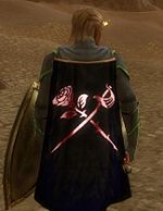 Guild Athlonx Mercenaries cape.jpg