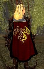 Guild Dragons Of Heavens Fury cape.jpg