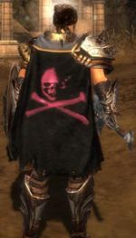 Guild Short Bus Pirates cape.jpg