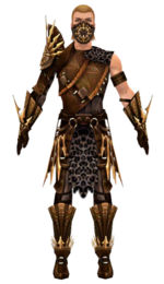 Ranger Elite Sunspear armor m dyed front.jpg