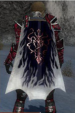 Guild Shadow Assassins Of Doom cape.jpg