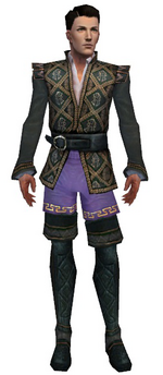 Mesmer Elite Noble armor m black front chest feet.png