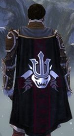 Guild The Arctic Marauders cape.jpg