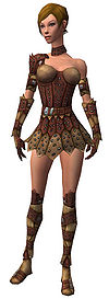 Ranger Studded Leather armor f.jpg