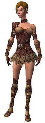 Ranger Studded Leather armor f.jpg