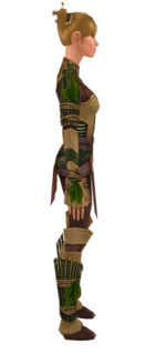 Ranger Druid armor f dyed right.jpg