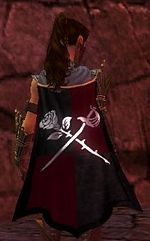 Guild Knights Of Scarlett cape.jpg