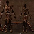 Elite Sunspear Armor