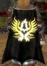 Guild Spirit Of Heroes cape.jpg