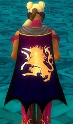 Guild S E X Masters cape.jpg