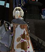 Guild Takashi Karhumettalla cape.jpg