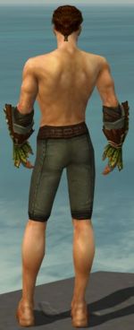 Ranger Druid armor m gray back arms legs.jpg