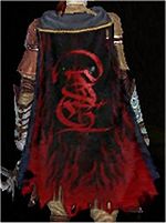 Guild Rule Of The Shogun cape.jpg