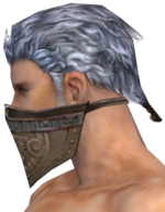 Ranger Asuran Mask m gray left.png