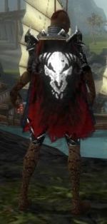 Guild Black Spectrum cape.jpg