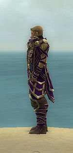 Vision of Lyssa costume m purple left.jpg