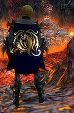 Guild Royal Death Gods cape.jpg