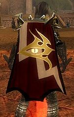 Guild The Survivors Guild cape.jpg