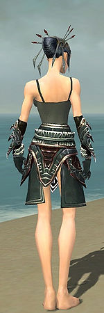 Necromancer Asuran armor f gray back arms legs.jpg