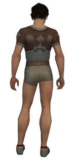 Dervish Sunspear armor m gray back chest feet.png