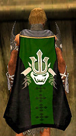 Guild Prince Ruiks cape.jpg