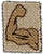 Brawler's Insignia.png