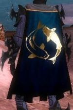 Guild Order Of The Black Skull cape.jpg