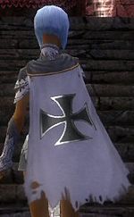 Guild Apocalyptic Children cape.jpg