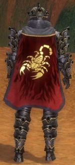 Guild Les Gentlemens Extraordinaires cape.jpg