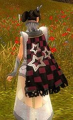 Guild Zodiac Fighters Force cape.jpg