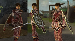 Vabbian Tower Shield female monk.jpg