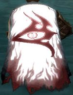 Guild Eye Examination cape.jpg