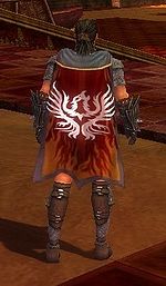 Guild Angels Vermillion cape.jpg