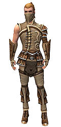 Ranger Shing Jea armor m.jpg