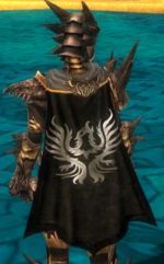 Guild The Crows Nest Guild cape.jpg