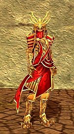 Dragonguard costume f front.jpg