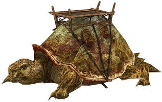 Giant Turtle.jpg