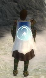 Guild Far Away Warrior Nation cape.jpg