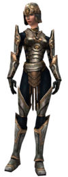 Warrior Sunspear armor f.jpg