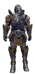 Warrior Platemail armor m.jpg