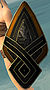 Asuran Shield.jpg