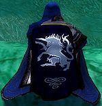 Guild Brotherhood Of Ascension cape.jpg