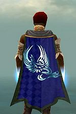 Guild Skippys Avengers cape.jpg