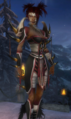 / Elle Chupacabra Necromancer/Monk Nightfall LVL 20